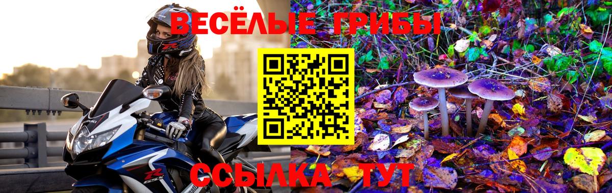 Галлюциногенные грибы Cubensis Анапа